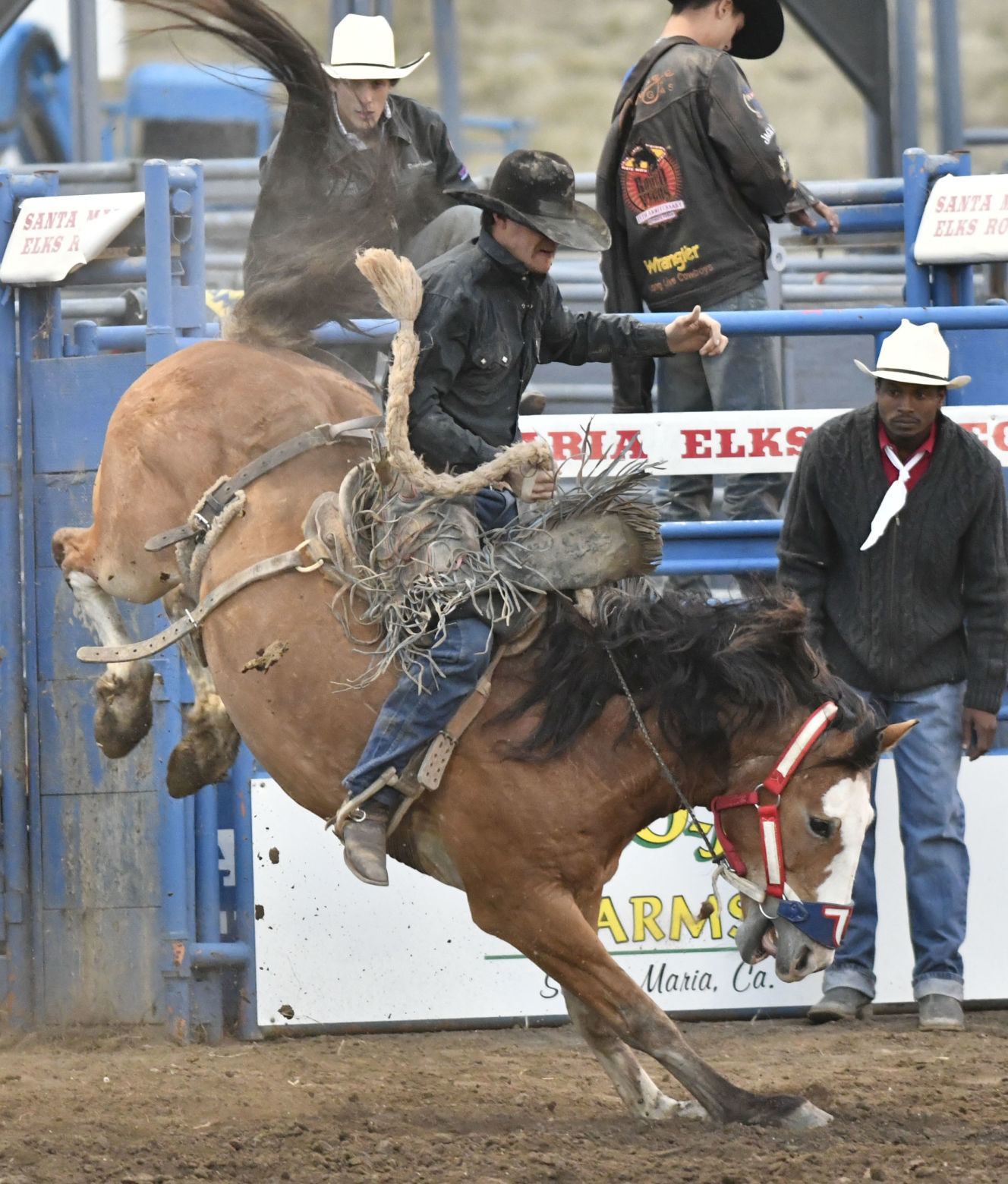 053019 Rodeo Thursday 24.jpg